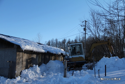 27846b06.jpg