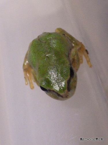 R0013238.jpg