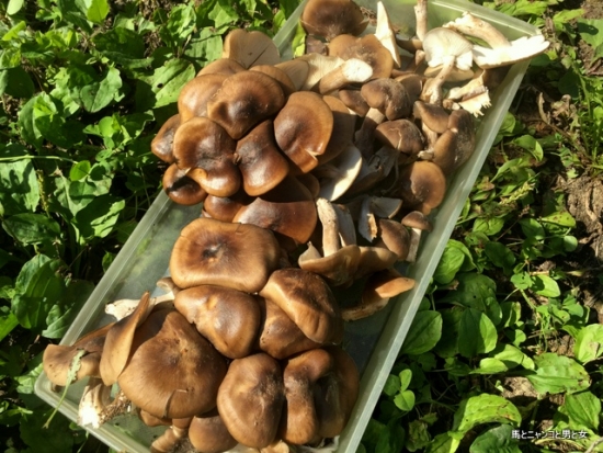 306b5477.jpg