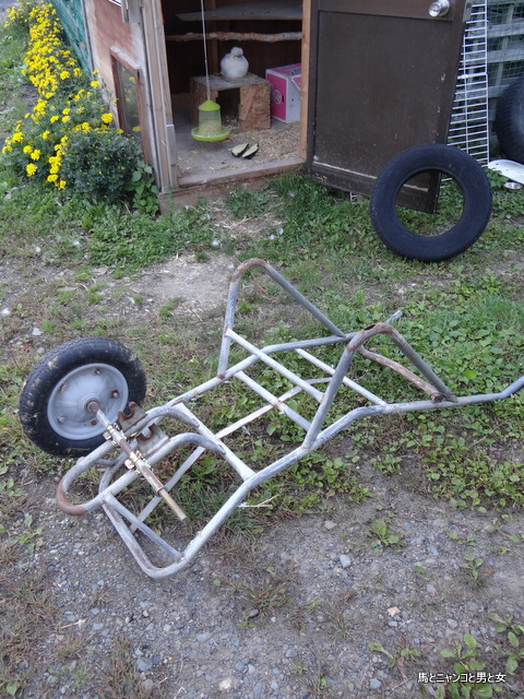 DSC08774.jpg