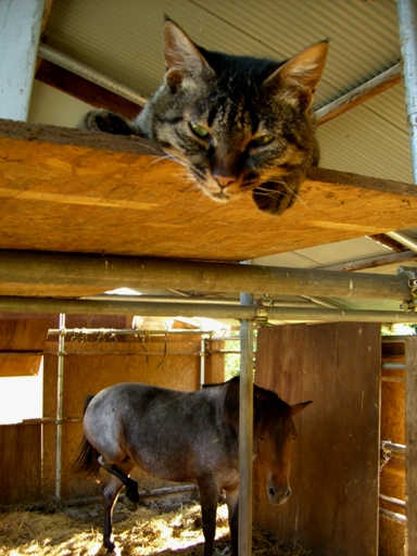 20060827235810.jpg