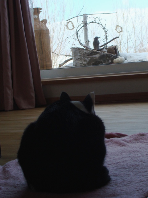 DSC06417.jpg
