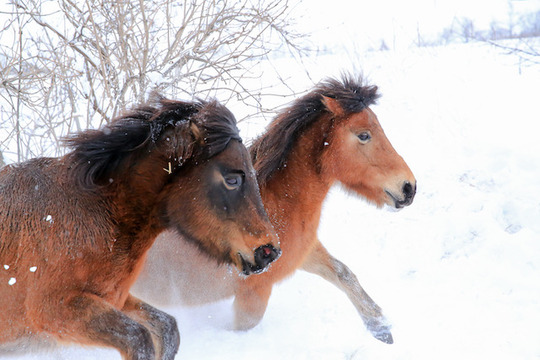 jpg018211のコピー