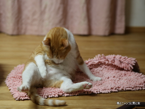 3b0f5436.jpg