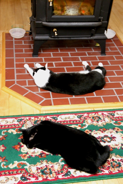 DSC02874.jpg