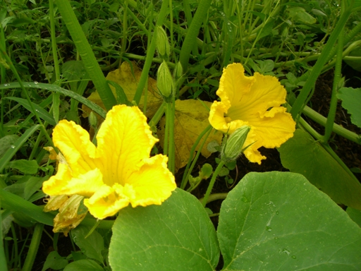 3cdeec06.jpg