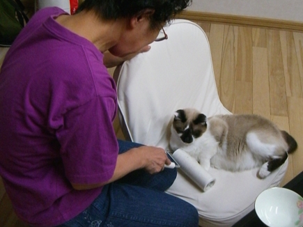 20070808220526.jpg