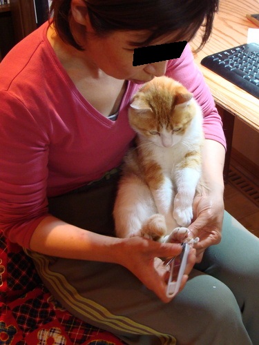 DSC08078.jpg