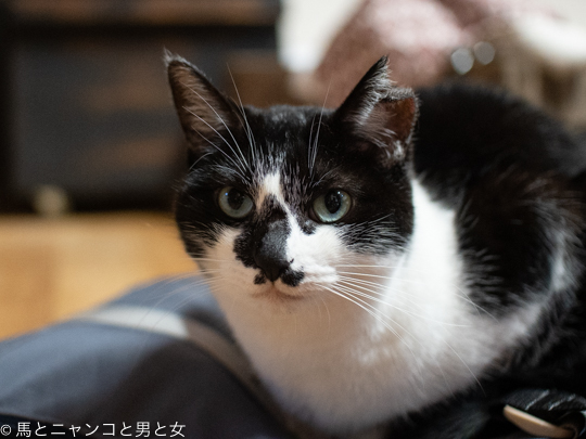 DSC09087-2