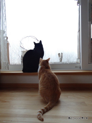 DSC00698_20130412235413.jpg