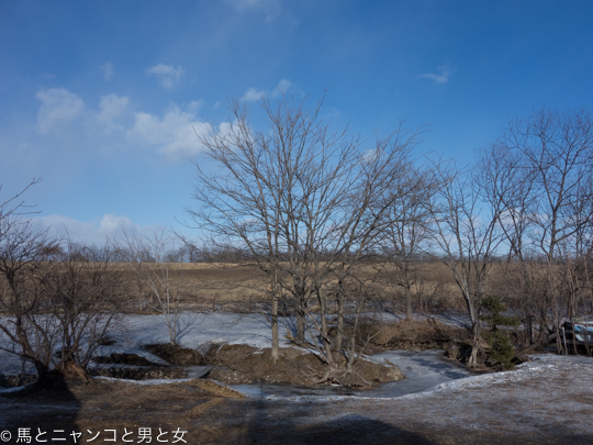 DSC07391