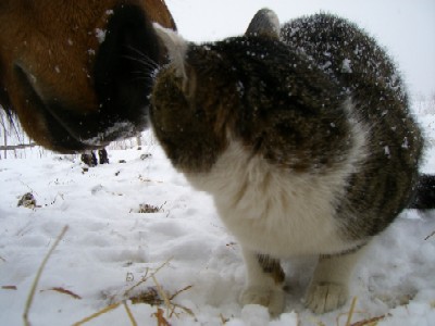 20060217201056.jpg