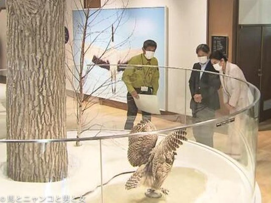 K10014197961_2309161753_0916180444_01_03