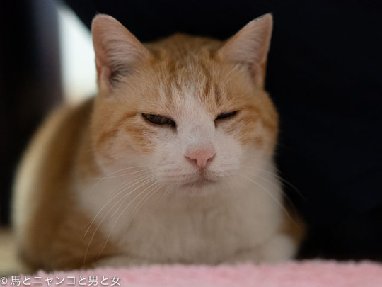 DSC06071