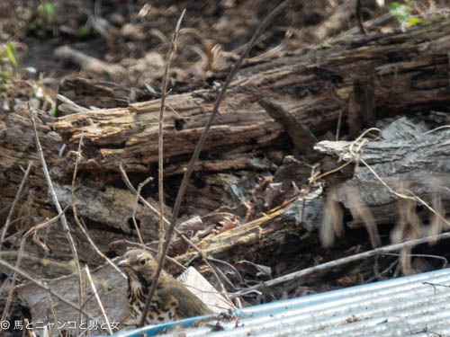 _DSC6986