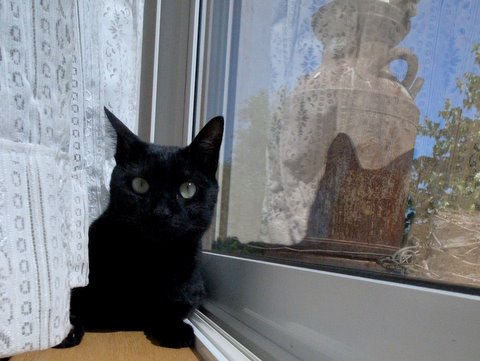 003_20110809234700.jpg