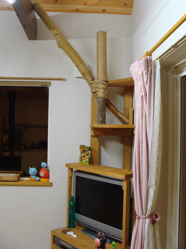 DSC07397.jpg