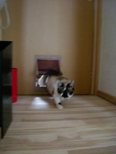 20070329202358.jpg