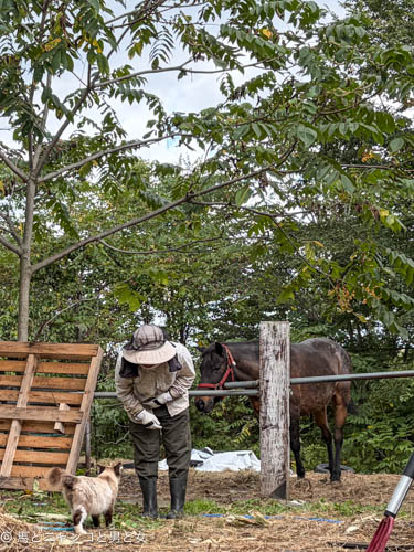 IMG_1551