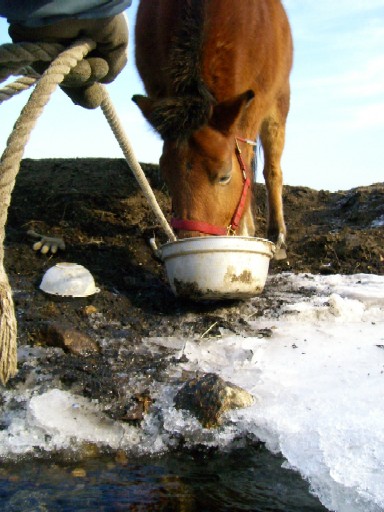 20061223193725.jpg