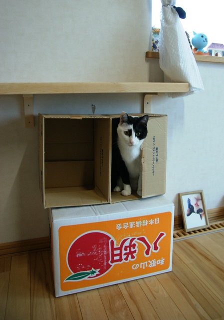 画像 086