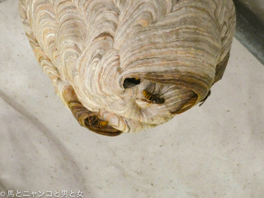 P1050760