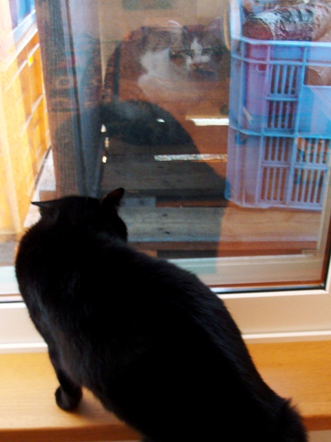 DSC05932_20100531201657.jpg