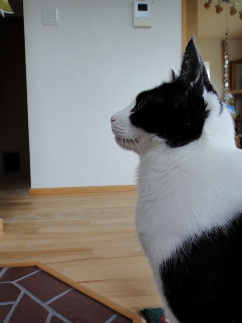 DSC02298.jpg