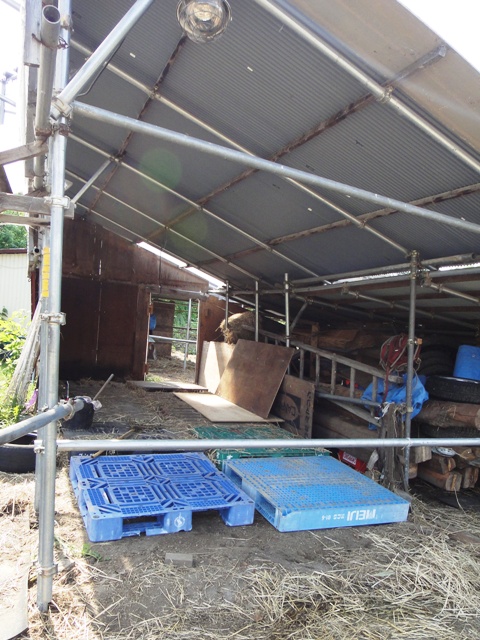 DSC00717.jpg