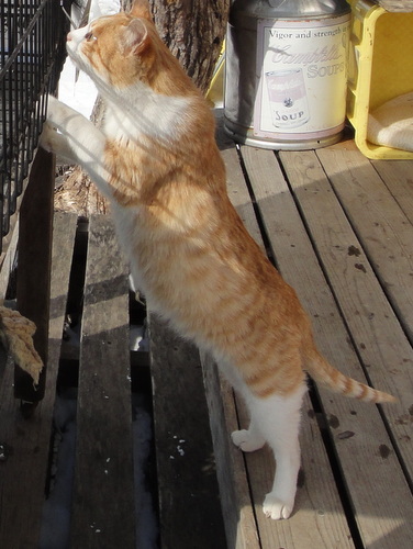 DSC00364.jpg