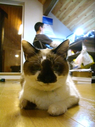 画像 112