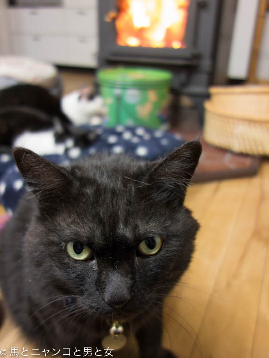 DSC04476