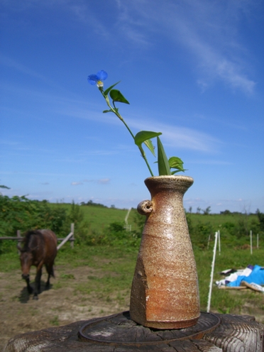 20060902234526.jpg