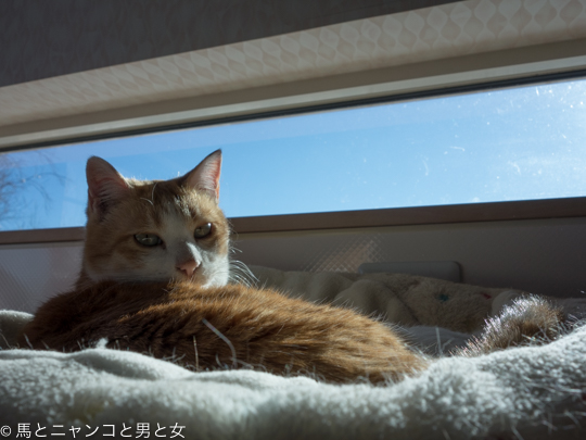 DSC07175