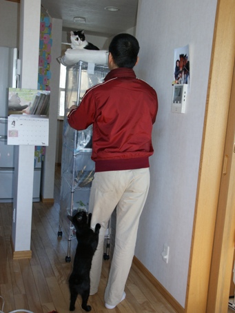 画像 135