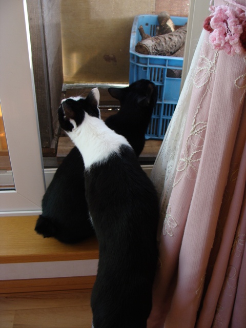 DSC05942.jpg
