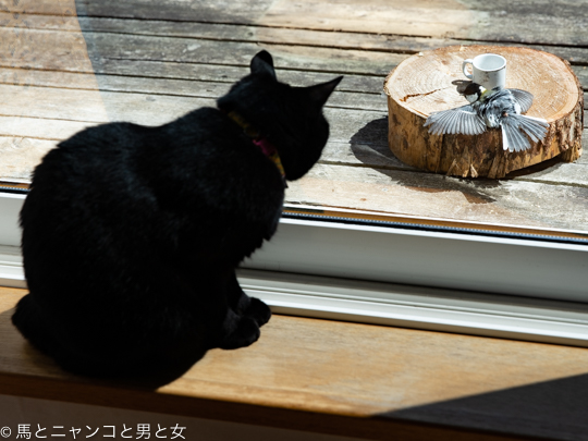 DSC05457