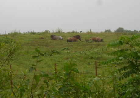 20070830202207.jpg