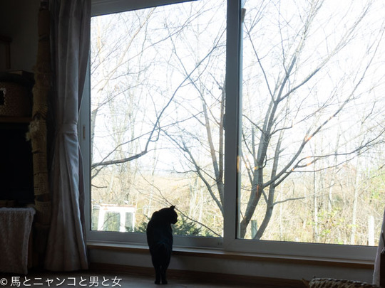 _DSC0312