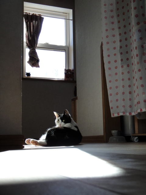 DSC03960.jpg