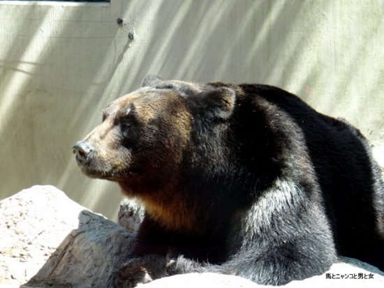 7259768e.jpg