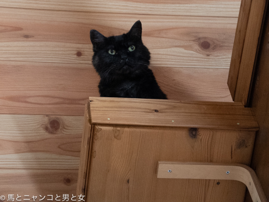 DSC07701