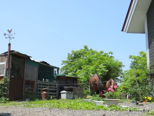 DSC02762