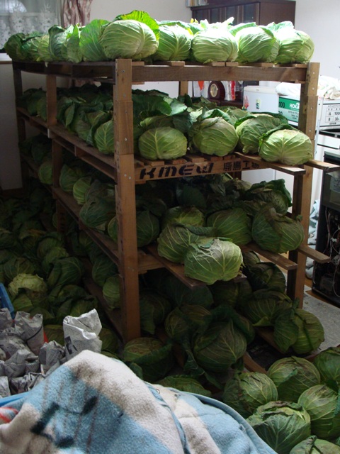 DSC04103.jpg