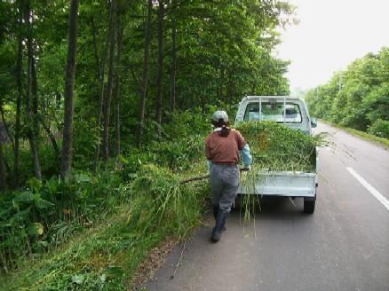 20070706231809.jpg