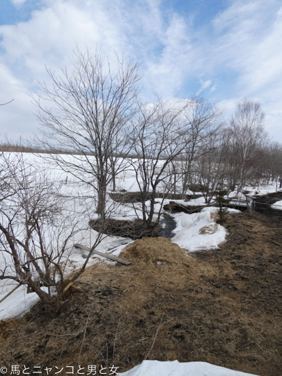 P1040069