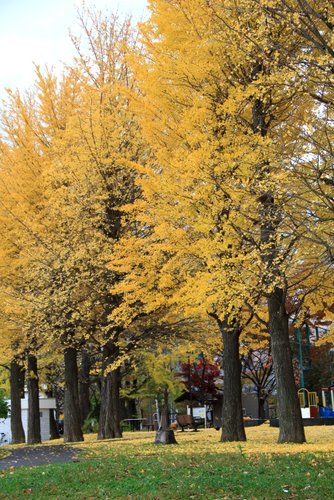 008_20111109221803.jpg