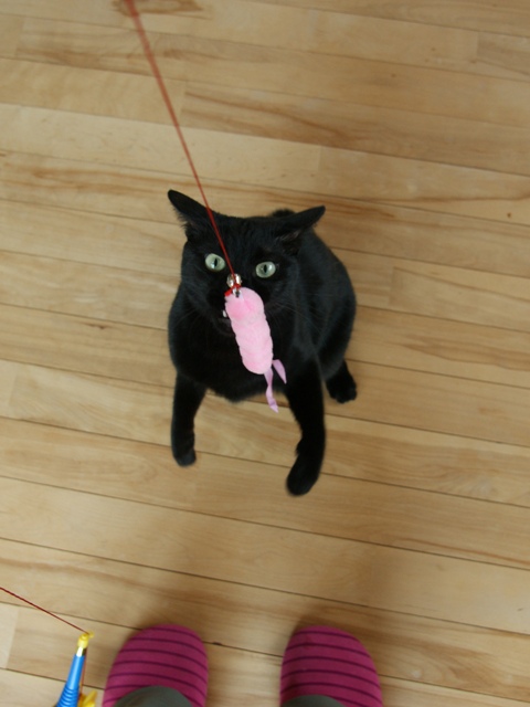 DSC03568.jpg