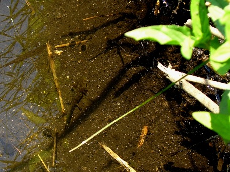 20070717001223.jpg