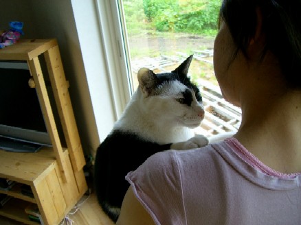 20070708181826.jpg